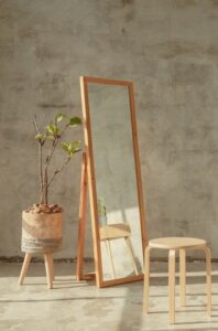 Read more about the article Why Mirrors Will Change Your Interior Environment
