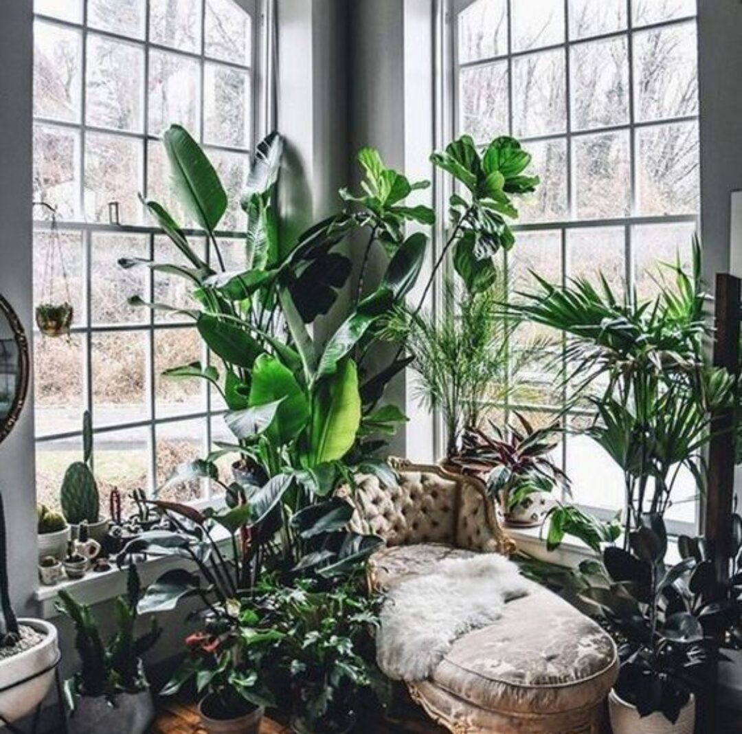 25 Urban Jungle Interior Design Ideas For A Plant-Filled Home
