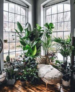 Read more about the article 25 Urban Jungle Interior Design Ideas For A Plant-Filled Home