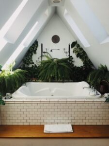 Read more about the article How To Decorate A Small Bathroom With Plants