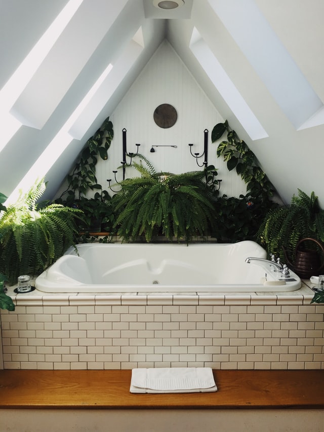 How To Decorate A Small Bathroom With Plants